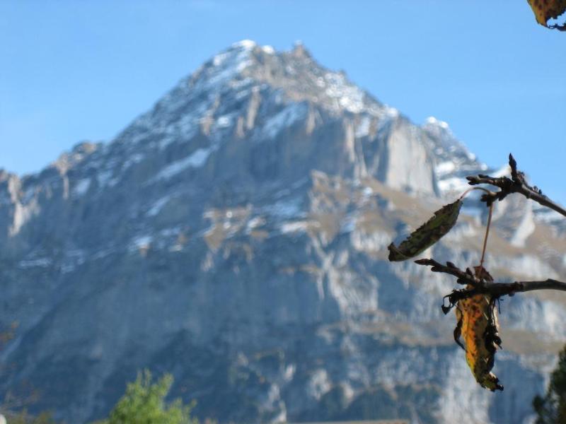 Hotel Gletschertal Grindelwald Buitenkant foto
